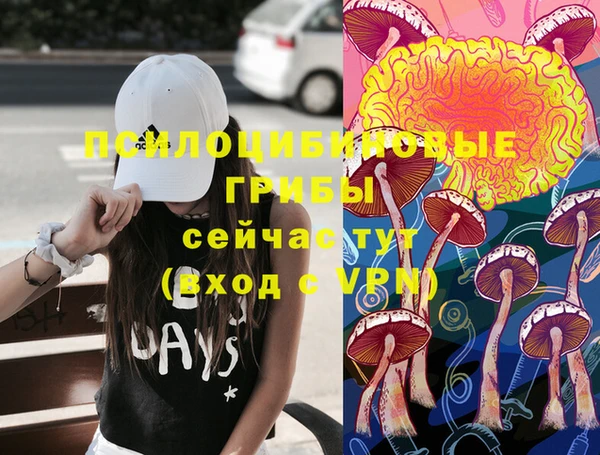 гашик Рославль