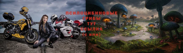 гашик Рославль