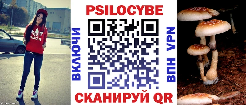 Псилоцибиновые грибы мицелий  Южа 